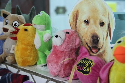 Clinica Veterinária Medcão