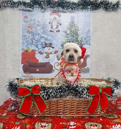 Leide's banho e tosa