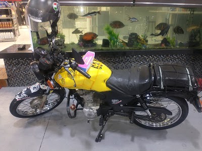 Ligeirinho Express Ltda.