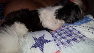 Residencial Altos do Campestre