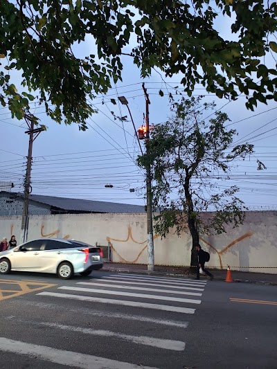 VJB Transportes e Logística